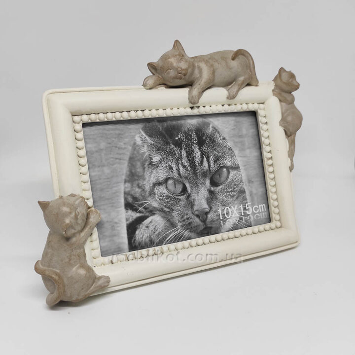 Фоторамка коти